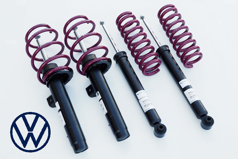 パフォーマンスプラス ローダウンサスペンションキット for VW SHARAN (7N)